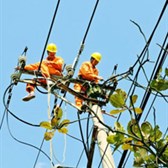 Lịch cắt điện Hà Nội 19/01/2026