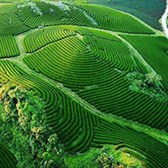 Bảng giá đất Sơn La 2026 (mới nhất)